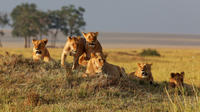 3-Day Ruaha National Park Safari Experience