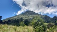 Hike to Santa Maria Volcano from Quetzaltenango