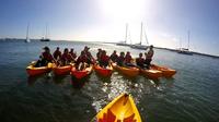 Excursion d'anniversaire en kayak vers Vague Île Pause au départ de la Côte d'Or