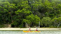 Kayak and Bushwalking Day Tour from the Gold Coast Including Currumbin Wildlife Sanctuary