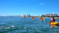 Vague Pause île Kayak et Snorkeling Tour de la Gold Coast