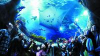 Passer la ligne: Hong Kong Ocean Park Billet d'entrée