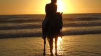 Agadir équitation Paradise Valley et plage de Taghazout