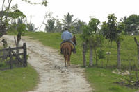 La Palmeraie or Lalla Takerkoust Lake Horse Riding Tour from Marrakech Including Lunch