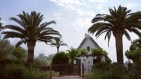 Imagen Excursión privada al Parque Natural de la Albufera desde Valencia con transporte