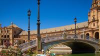 3-Day Guided Tour of Cordoba, Seville and Costa Del Sol from Madrid