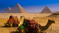 Day Tour Pyramids of Giza and Sphinx from Giza
