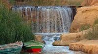 Private Full-Day Fayoum Oasis and Waterfalls of Wadi Rayan Tour from Cairo 