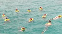 Ocho Rios Shore Excursion: Private Snorkel Tour