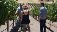 Private Winemaker's Wine Tour of Santa Barbara and Santa Ynez Valley