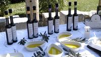 Olive Oil and Wine Tasting from Split