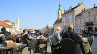 Samobor Private Day Trip with Wine Tasting from Zagreb