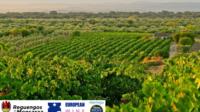 Région d'Alentejo 5 jours Tour de Evora