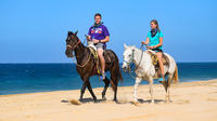 Horseback Riding Tour in Los Cabos