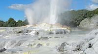 Full-Day Auckland to Rotorua Tour from Auckland