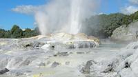Privat heldagstur til Rotorua fra Auckland Privat heldagstur til Rotorua fra Auckland