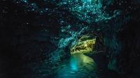 Privat tur: Dagstur til Waitomo Caves fra Auckland Privat tur: Dagstur til Waitomo Caves fra Auckland