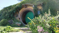 Privat tur: Udflugt til Hobbiton Movie Set fra Auckland Privat tur: Udflugt til Hobbiton Movie Set fra Auckland