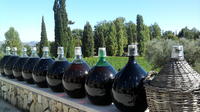Private Half-Day Tour Wine Tasting St Jeanet and St Paul Village from Nice