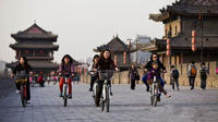 2-Day Classic Xi'an Tour: Terracotta Warriors and Downtown Sightseeing