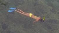 Snorkeling et Island Tours