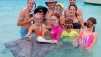 Grand Cayman Combo Tour: Stingray City and Turtle Farm