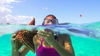 Starfish and Stingray City Adventure with Snorkeling