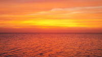 Champagne Sunset Cruise avec Snorkeling