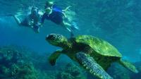 St Maarten Private Sightseeing and Snorkeling Cruise