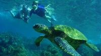 St Maarten Snorkeling and Discovery Tour