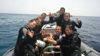 Qualified Diver 1 Tank Dive in Mykonos