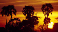 2-Day Private Safari to Ruaha National Park