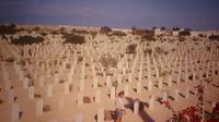 Shore Excursion: Excursion d'une journée à la Seconde Guerre mondiale Cimetières à El Alamein d'Alexandrie Port