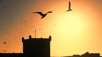 Privédagtrip van Marrakesh naar Essaouira Privédagtrip van Marrakesh naar Essaouira