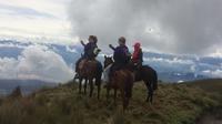 Half-Day Cable Car and Horseback Tour Above Quito image 1 Half-Day Cable Car and Horseback Tour Above Quito image 1