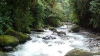 Private 2-Day Mindo Cloud Forest from Quito image 1 Private 2-Day Mindo Cloud Forest from Quito image 1