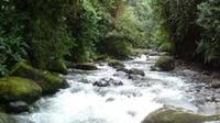 Private tour: 2-Day Mindo Cloud Forest Overnight Tour from Quito
