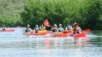Daytime Mangroves to Beach Kayak Tour