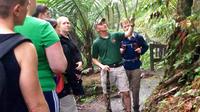 El Yunque Rainforest Crépuscule Nature Walk