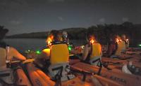 Sunset Bioluminescent Lagoon Kayak Adventure
