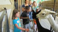 Holiday Tour of an Alpaca Farm