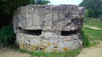 Private New Zealand Battlefield Tour in Flanders from Brussels