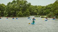 Nerul River Kayaking near Candolim in North Goa