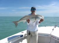 Naples Eco Tour and Backwater Fishing