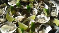 Experience Tour Oyster à Florianópolis