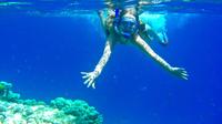 Snorkeling at Sharm El Naga From El Gouna