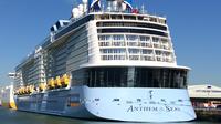 Hafentransfer privat: Zentral-London zu Southampton-Kreuzfahrtterminal Hafentransfer privat: Zentral-London zu Southampton-Kreuzfahrtterminal