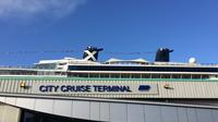 Private MPV Arrival Transfer from Southampton Cruise Terminals to London