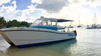 Customized privée Charte Powerboat de St Thomas