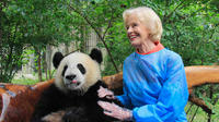 Private One Day Panda Volunteer Work at Chengdu Giant Panda Breeding Research Base in Dujiangyan